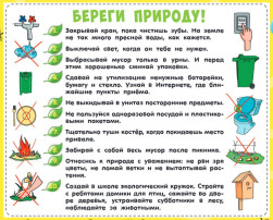 Экологическое воспитание Экологическое воспитание.