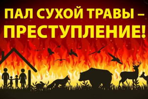 Пал сухой травы может привести к трагедии! Пал сухой травы может привести к трагедии!.