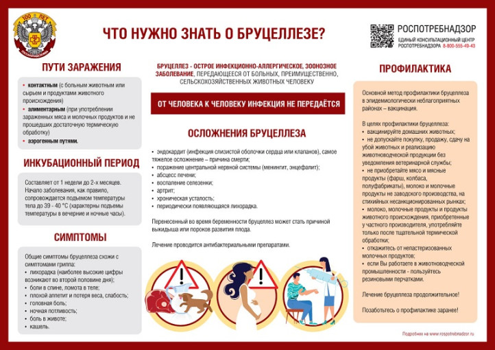 Профилактика бруцеллеза Профилактика бруцеллеза.